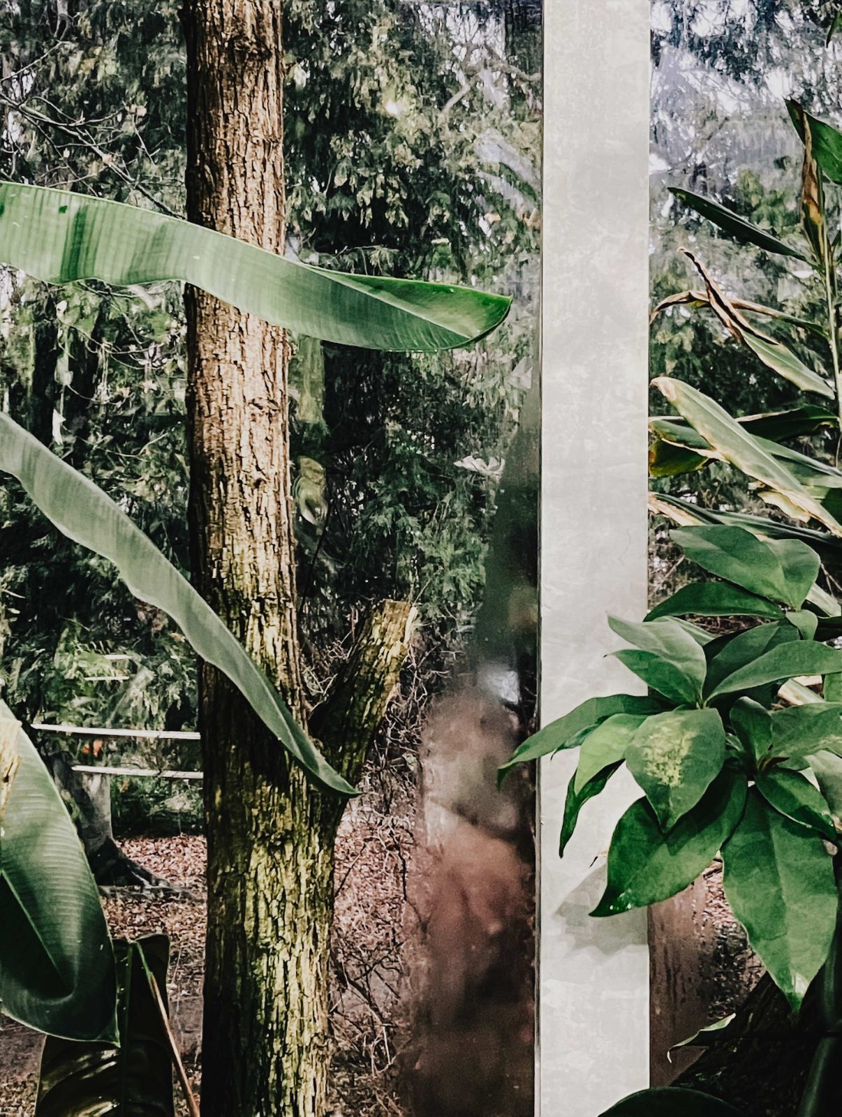 000_P-∆ image